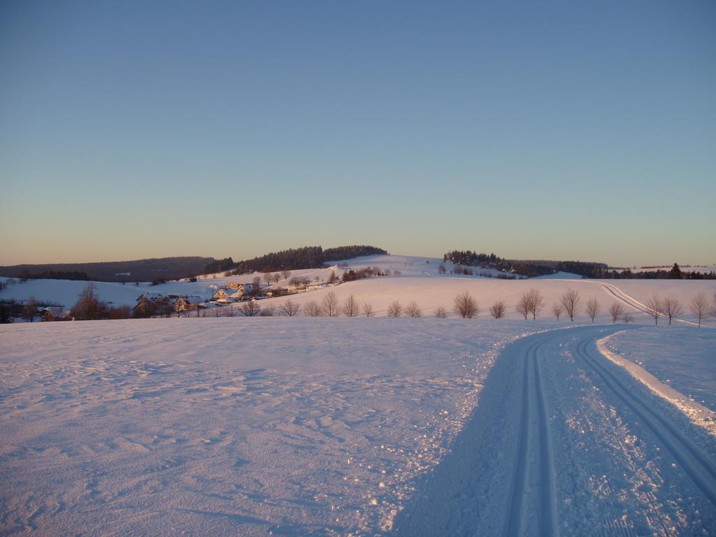 Ubytovani U Kaplicky Nove Mesto na Morave Buitenkant foto